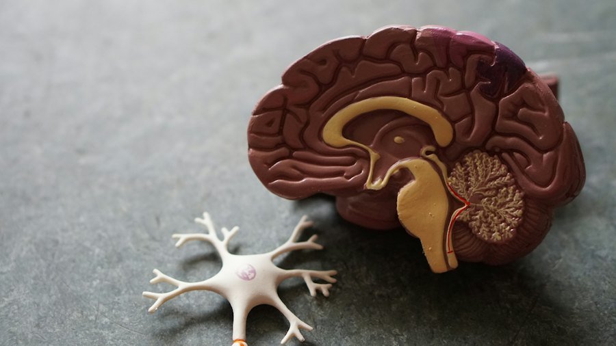 HumanOS: Biohacking Science & Human Wellbeing